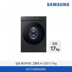 삼성 BESPOKE 그랑데 건조기 AI 17kg DV17CB6600BV