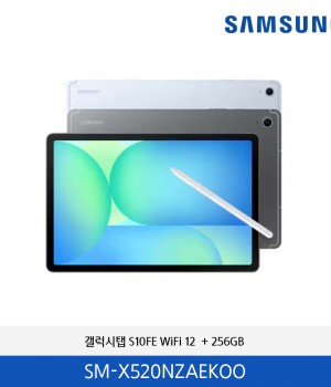 삼성 갤럭시탭 S10FE WiFi (256GB) / SM-X520NZAEKOO