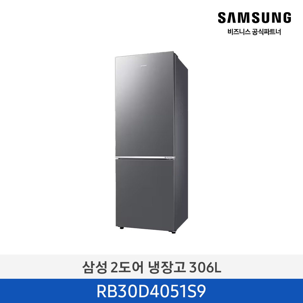 삼성 2도어 냉장고(306L) RB30D4051S9