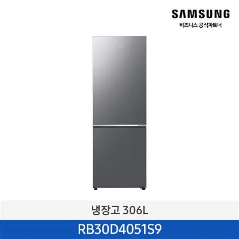 삼성 2도어 냉장고(306L) RB30D4051S9