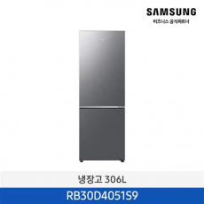 삼성 2도어 냉장고(306L) / RB30D4051S9